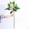 XIYUAN 35.5 Inch Artificial Flowers Artificial Frangipani Flower 2 Stems Lifelike Real Touch Artificial Plumeria Flowers for Home Party Wedding