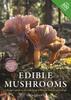 The Edible Mushrooms : A Forager's Guide To the Wild Fungi of Britain, Ireland and Europe Book