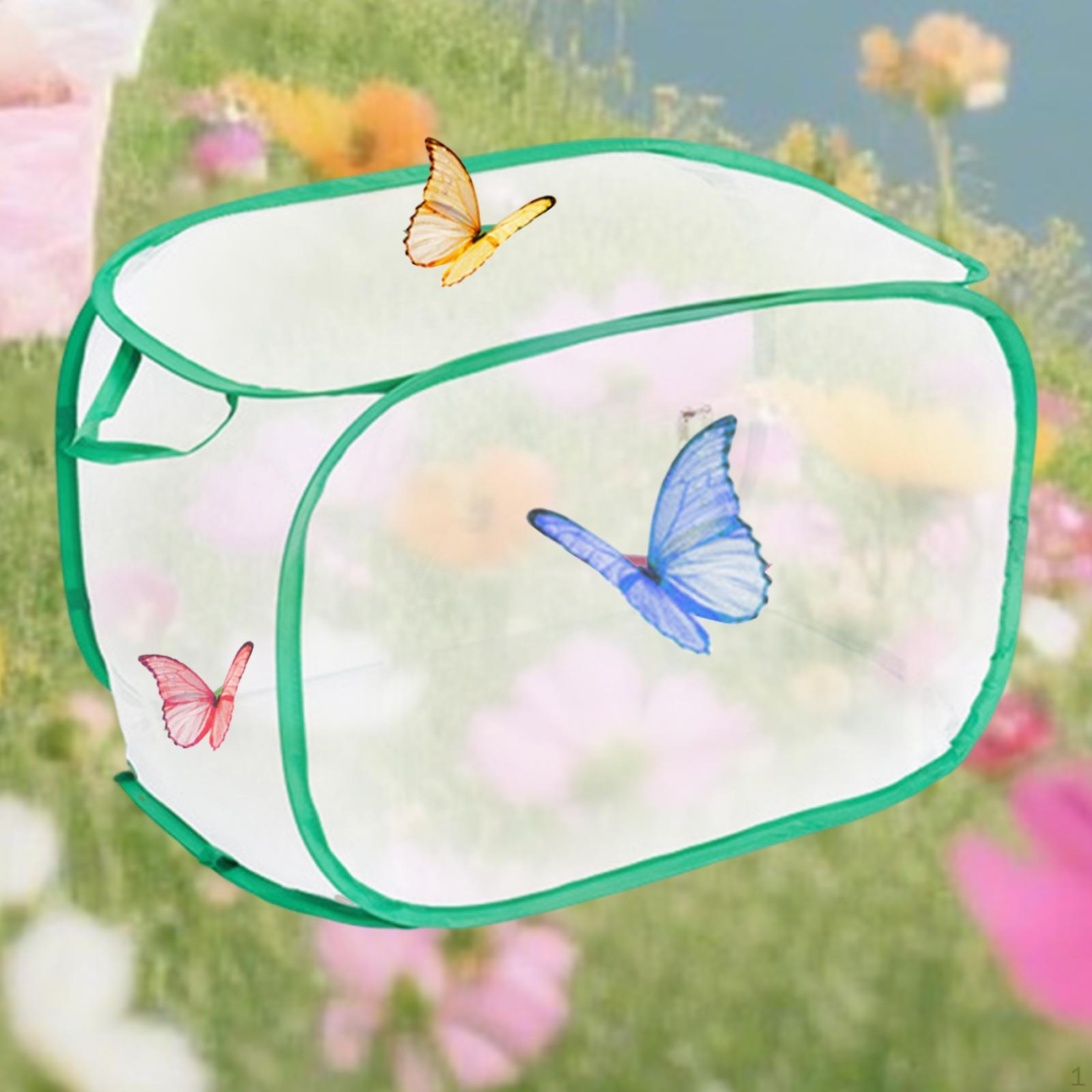 

Butterfly Catching Cage Seedling Cultivation Box for Outdoor Garden Backyard M