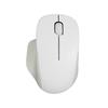HP Professor SEC Ergonomic Wireless Mouse