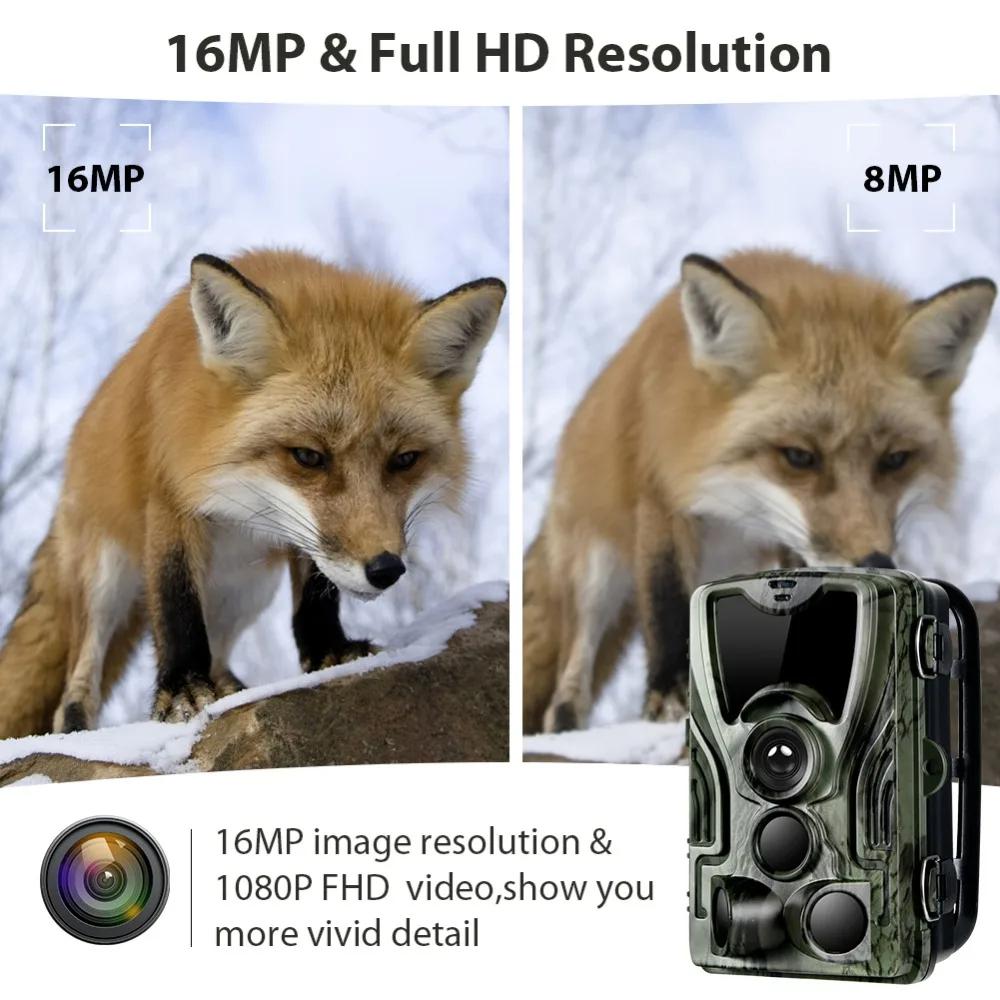 2025 Trail Hunting Camera With 5000Mah Lithium Battery 16MP HC801ALI 1080P IP65 Waterproof Night Version Photo Traps 0.3s Wild Surveillance