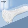 Self-locking Flame Retardant Nylon Cable Ties
