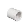 Dui Jiu PVC Internal Thread Connector