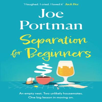 Separation for Beginners by Joe Portman Paperback Book 9781802793116