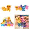 High-quality Aurora Teddy Bear Malt Sugar Squeeze Toy For Stress Relief Wholesale