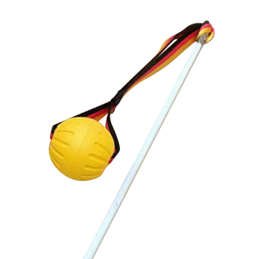 Flirt Pole for Dogs Large Breed Dog Teaser Pole for Exercise Playing Outdoor