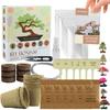 Bonsai-Kit für den Innenbereich - L&G - 6 Seltene Samen - Zubehör Inklusive - Geschenkidee Garten