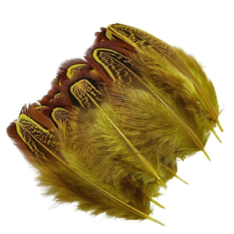 100Pcs Pheasant Chicken Feathers Plumes DIY Carnival Wedding Decor And Accessories For The Table Headdress Handicrafts Supplies