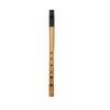 Rich Tone Irish Whistle Flute 6 Holes Irish Tin Whistle Musical Instruments  for Beginners