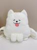 White Plush Dog Girl Backpack With Zipper Closure For Daily Use And Cute Style