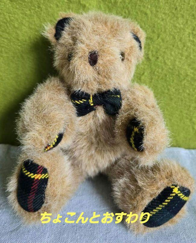 [USED] Teddy Bear, Stuffed Animal, Tartan Check Pattern