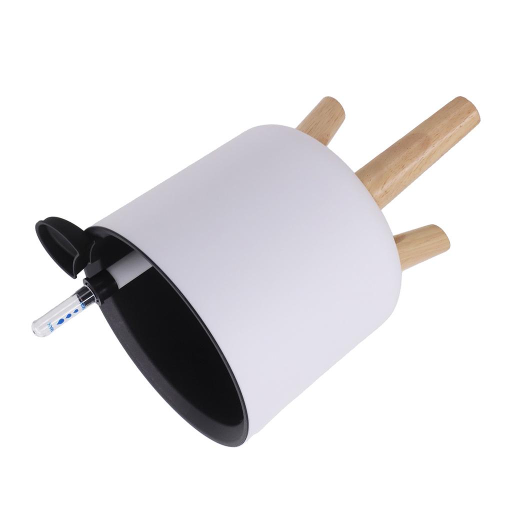 Self Watering Planters with Water Level Indicator for Indoor and Outdoor Use