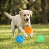 3Pcs Bite Tough Dog Chew Ball Multi Color Elastic Pet Ball Pet Teething Toy  Indoor Play