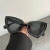 New Fashion Cat Eye Sunglasses Female Luxury Brand Designer Sun Glasses for Women Travelling Sun Shades Glasse Y2k