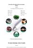 Mini Electric Grinder & Engraver for Jade/Wood Carving and Polishing
