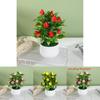 Artificial Plant Decoration With Plastic Craft For Home Office Decor