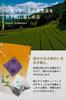 Seisenen Honten Sencha Tea Bags, Kyoto Uji, Premium Authentic Japanese Green Tea, Deep-Steamed, Waka-Steamed, Cold-Brewed, and Cold-Tea