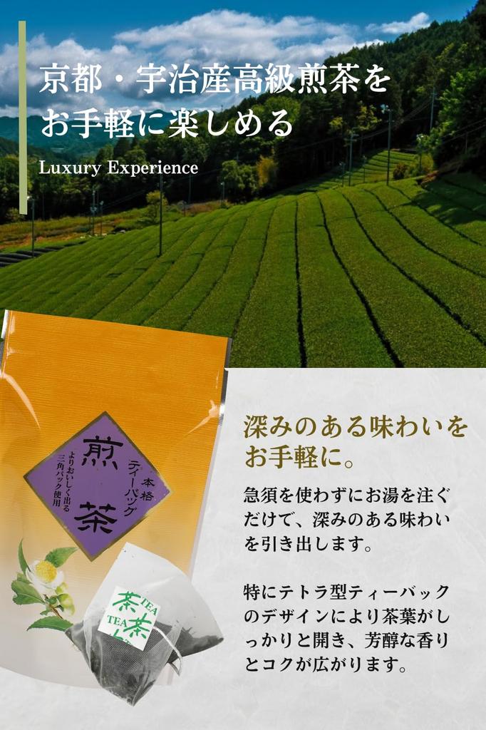 Seisenen Honten Sencha Tea Bags, Kyoto Uji, Premium Authentic Japanese Green Tea, Deep-Steamed, Waka-Steamed, Cold-Brewed, and Cold-Tea