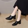 Square Head Deep Mouth Single Shoes Women's Spring Iron Bag Head High Heels European and American Style After Zipper Thick Heel Fashion Shoes