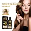Shampoo allo zenzero Trattamento naturale del cuoio capelluto dei capelli a base di erbe non allergico Controllo dell'olio Crescita dei capelli Shampoo denso anti-perdita di capelli