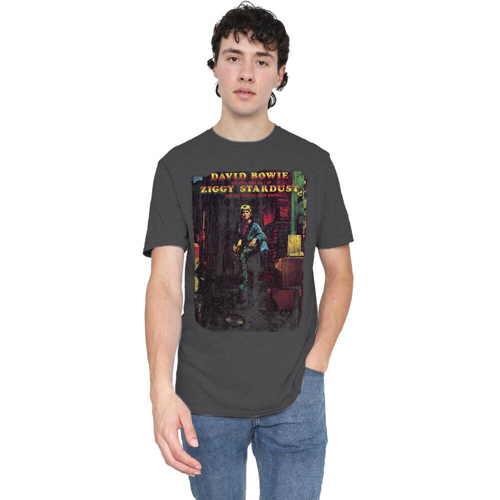 David Bowie Ziggy Stardust Album T-Shirt S-2XL, Charcoal Unisex T-Shirt XL
