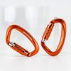 BRAVESHINE 12KN 1200kg Weight Lightweight Locking Carabiner with for Luggage and Dog Set of 2 Auto-Locking Carabiner, Capacity, D-Ring, Hammocks,