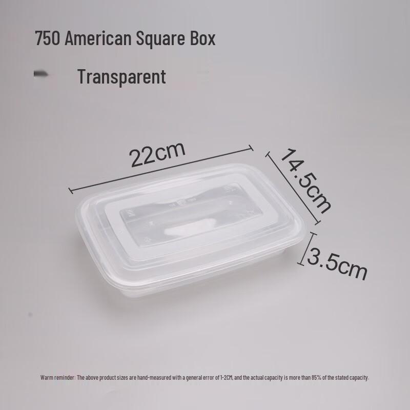 Yueyong Disposable Rectangular Plastic Takeout Boxes with Lids, Microwaveable