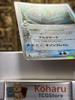 NM-Rayquaza Delta Holon Phantoms Pokemon Card Japanese