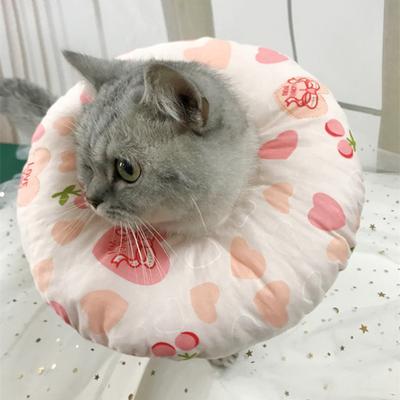 2 Teile/satz Pet Halskrause Verhindern Beißen Anti-Lick Ultra-Licht Haustier Katze Chirurgie Wunde