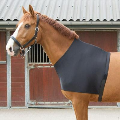 Equine Shoulder Guard for Rug Protection, Quick Release Spandex
