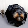 Black Schnauzer pattern, automatic folding umbrella, portable and foldable design, 8 ribs, a Christmas or birthday gift.