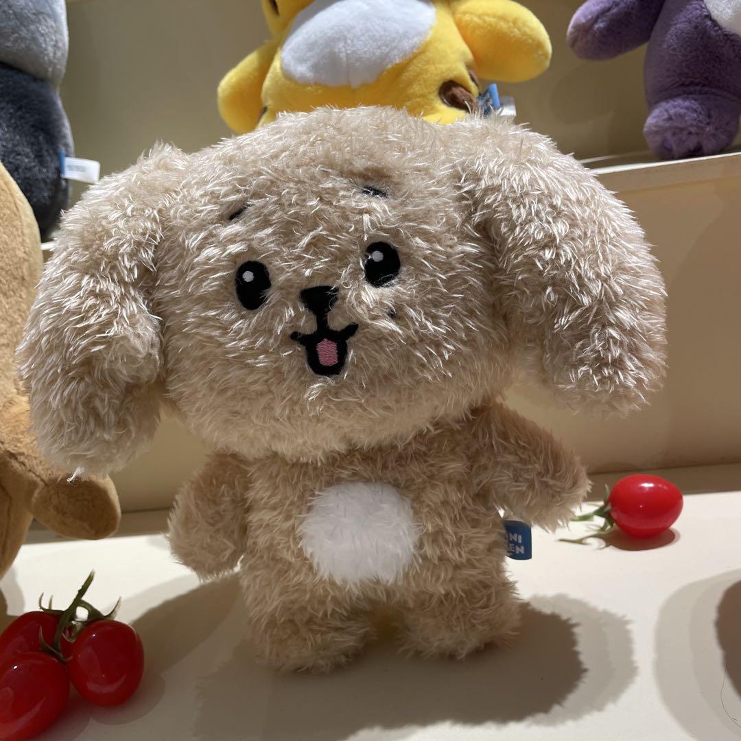 

[USED] Dokyeum MINITEEN Pop-up Plush Toy Seventeen