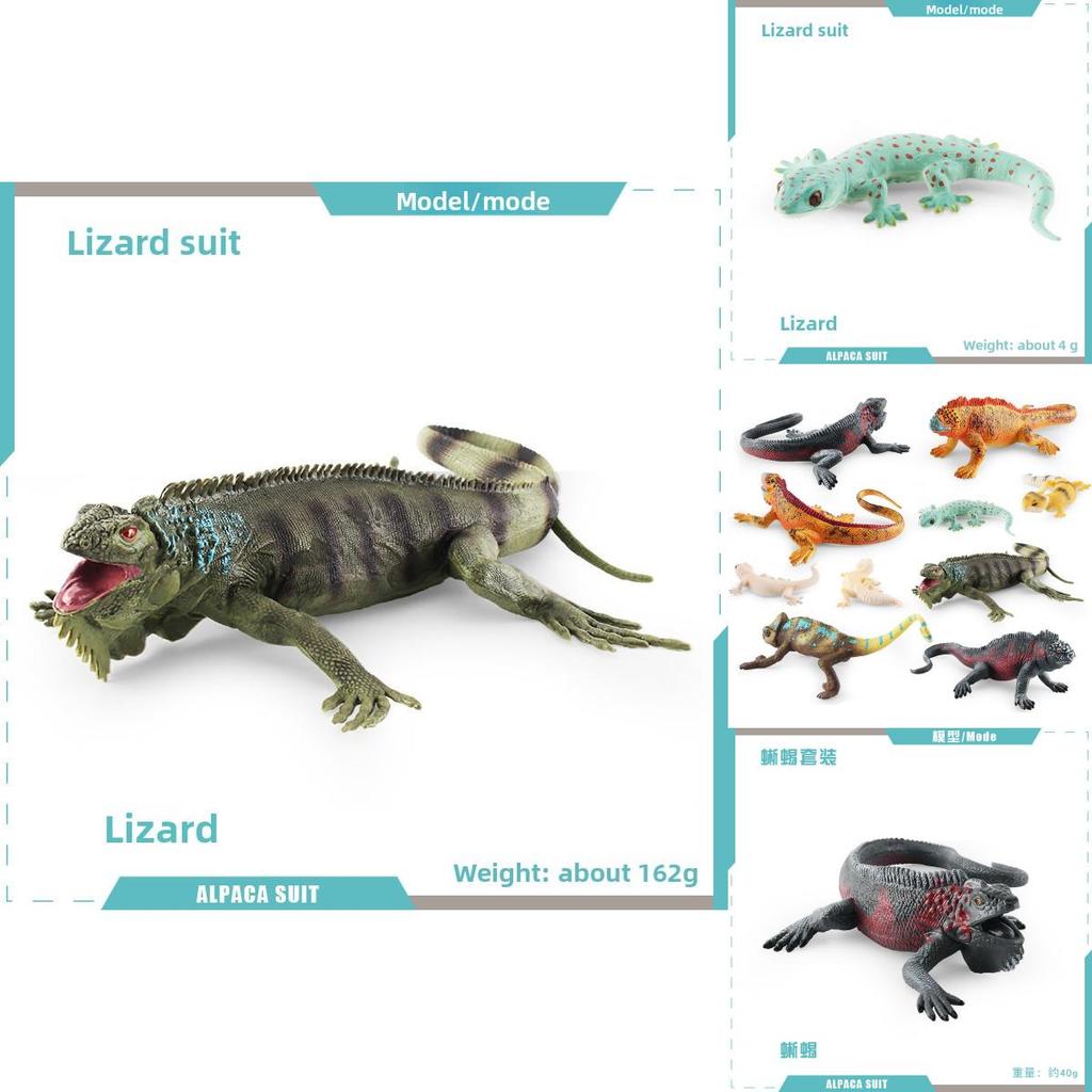 Realistic Reptile Lizard Chameleon Model With Assembleable Chameleon And Gecko Figures For Collectors And Kids