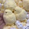 Chick Squishy Toy, Office Funny Stress Relief Fidget Toy, Slow Rising Sensory Popping Game For Adults Kids