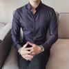 Men's Slim Fit Striped Long Sleeve Shirt - British Style, Trendy Spring/Autumn Casual Wear
