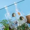 Transparent Tortoise Climbing Basking Platform  Aquatic Turtles Terrace