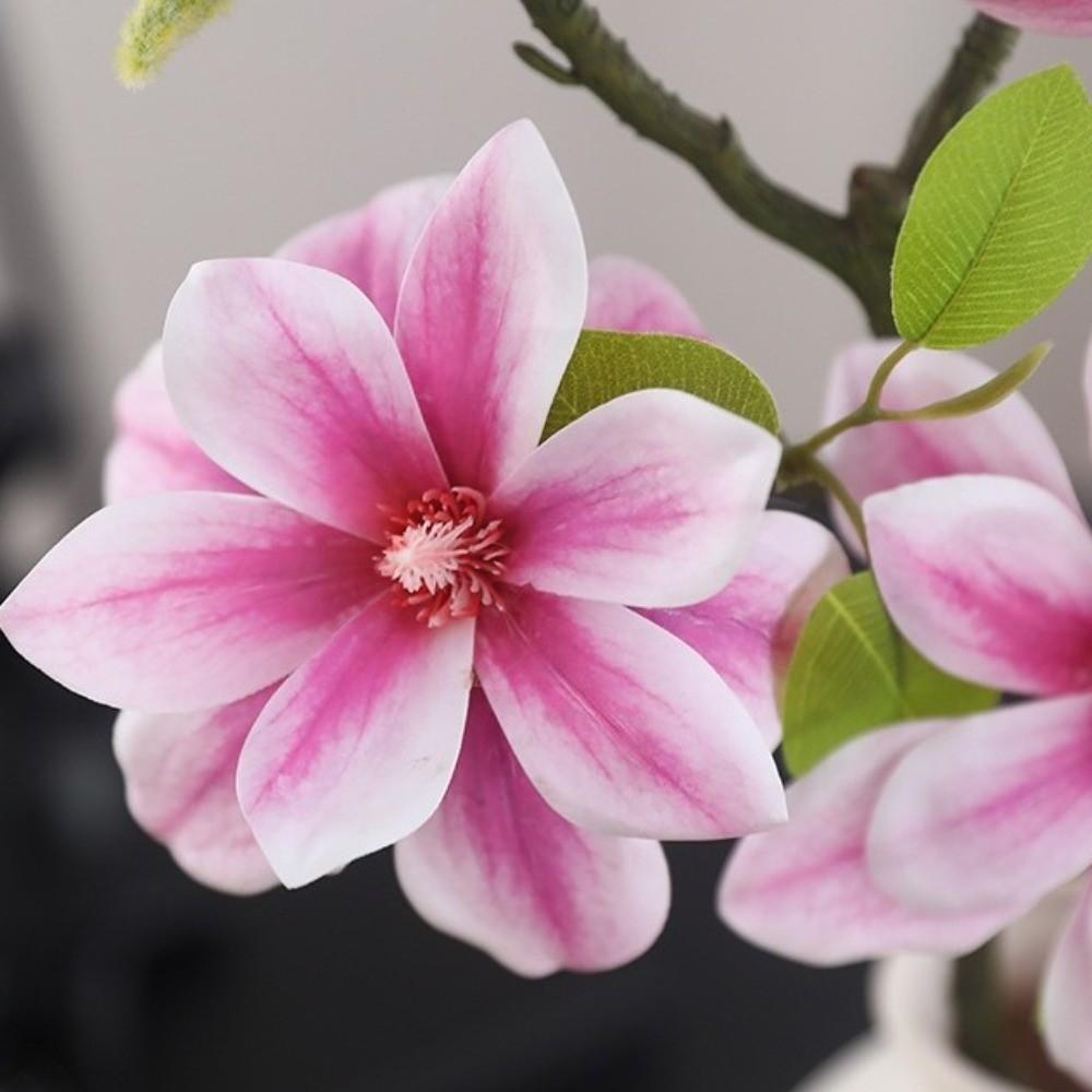 Realistic Simulation Orchid Handmade Faux Magnolia Branch Fake Silk Flower  Forest Garden