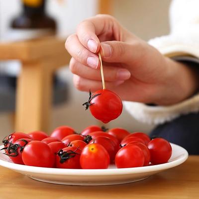 Accessori per la tavola – Porta stuzzicadenti