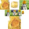 Stylish Yellow High Hat Pet Wig With Bangs Ideal For Cats And Dogs For Halloween And Christmas Celebrations
