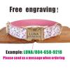 Personalized Dog Collar with Free Engraving, Matching Pet Leash,Customzied Contacts Metal Buckle,Pink Flowers Pet Collar