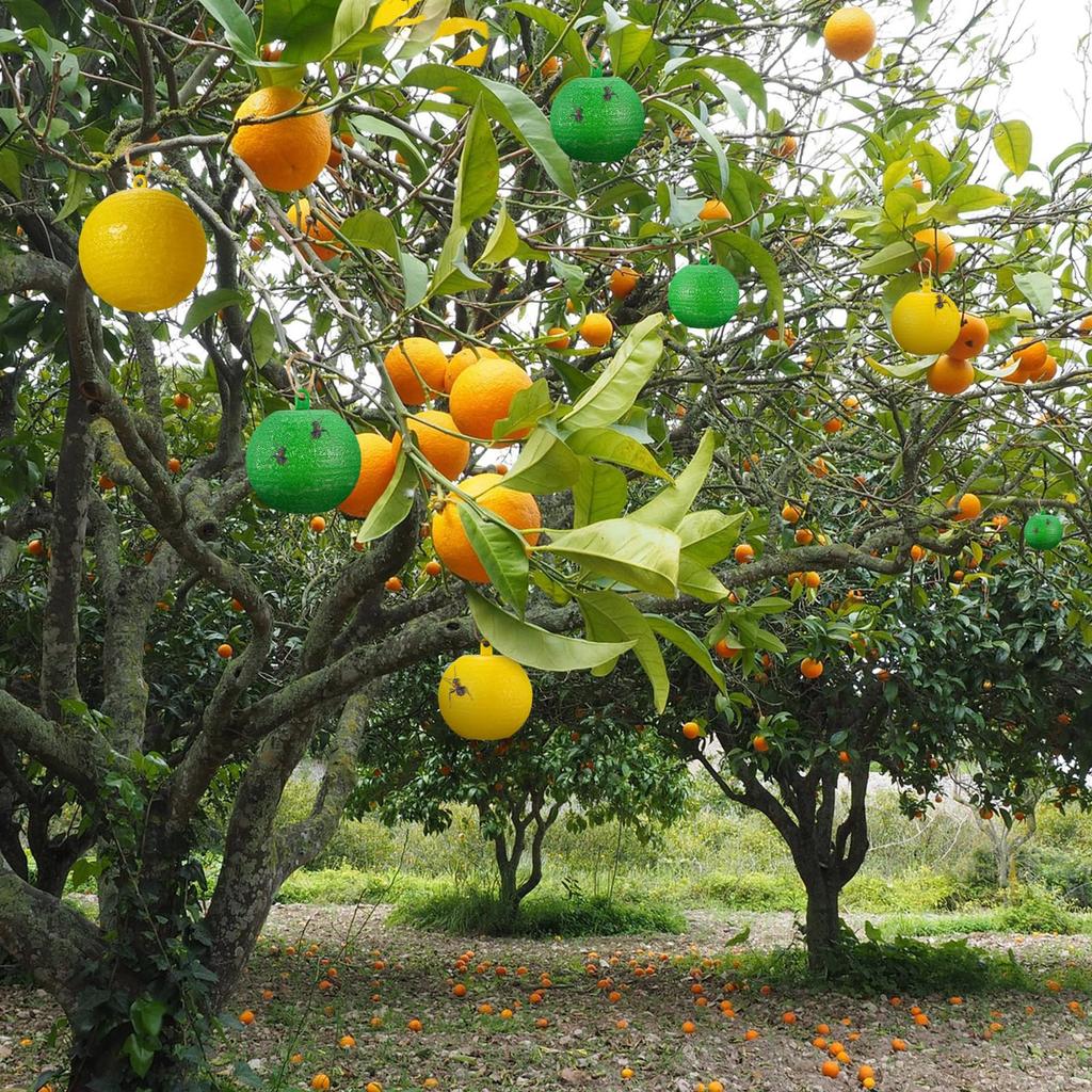 Sticky Fruit Fly Trapping Ball Sticky Fly Catching Ball Sticky Glue Fly Gnat Mosquito Flying Insect Trapping Ball Trap