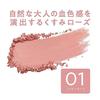 Cezanne Cheek Brush 01 Foggy Rose 2.2g Pink Color Blending Natural Flush