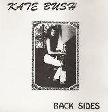 

CD KATE BUSH - Back Sides OB002 Observation Rec 1991 Германия Поп Б/у