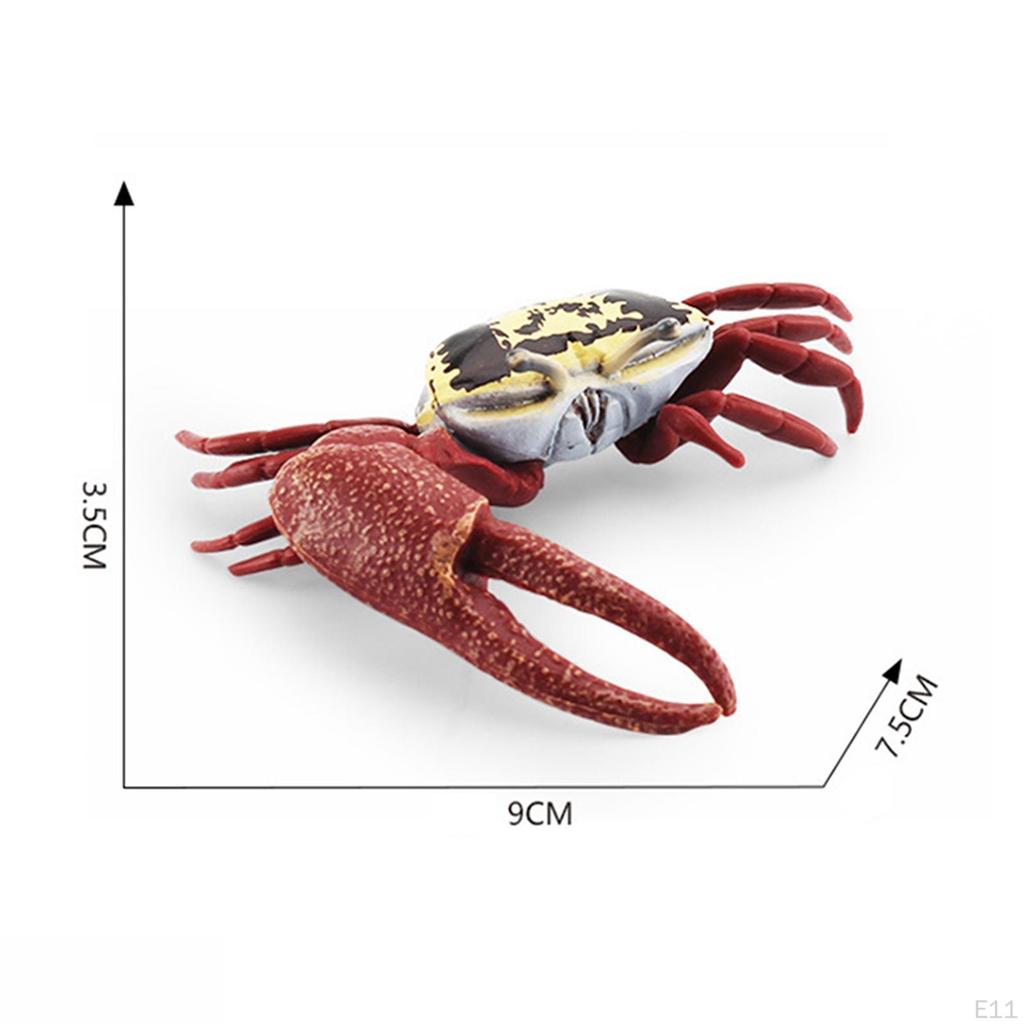 Hand Painted Mini Crab Figurines Model Realistic Detailed Action Figures for Children Kids