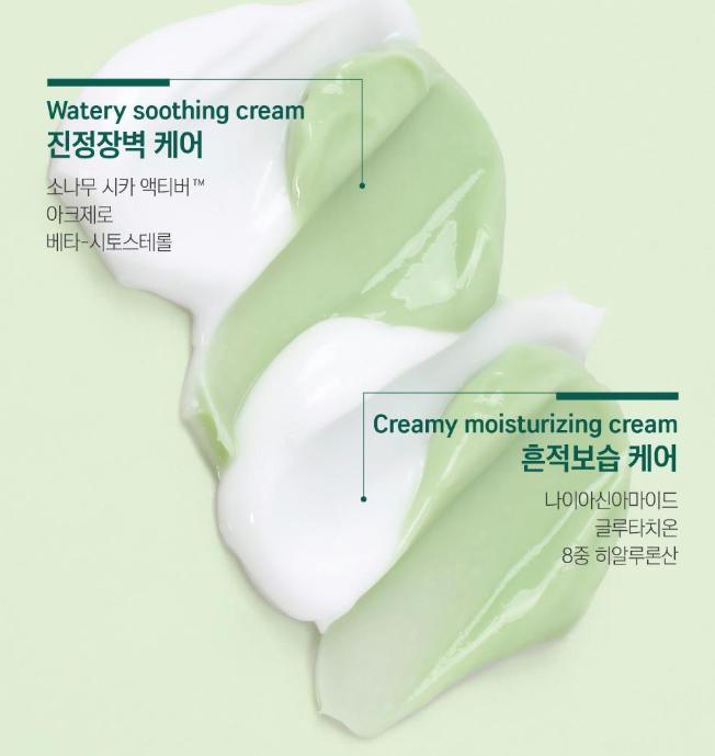 ROUND LAB Pine Cica Soothing Cream Plus – Calming & Barrier Repair Cream 60ml