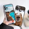 PP13 Cartoon  Capybara Soft Shell Phone Case for OPPO A3 Pro A72 A74 A76 A77 A77S A78 A79 A94 A95 A18 A40M A58