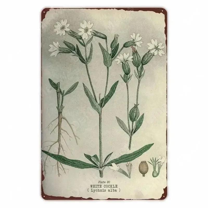 Retro Vegetable Plants Poster Vintage Fruits Metal Tin Sign Cauliflower Wall Art Sign Garden Kitchen Farm Flowers Plate Decor