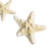 Fish Tank Starfish Decor Unique Beautiful Starfish Ornament Set for Home Aquarium DIY Photo Frame Wind Chime Type 1