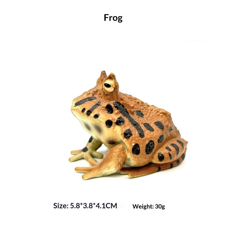 1Pcs Hand Painted Amphibious Animal Figurine Educational Realistic Toad Frog Figure Rubber Animal Model Toy For Kids