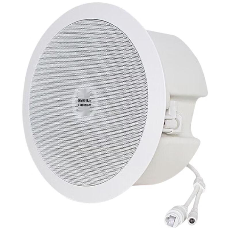 Diyou IP Outdoor Waterproof Public Broadcast Speaker CN Plug (adapter Included) (CN Version)